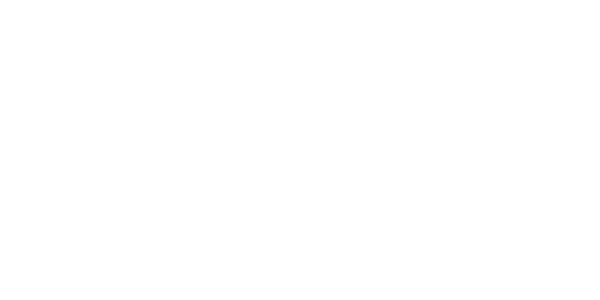 네이버페이 logo